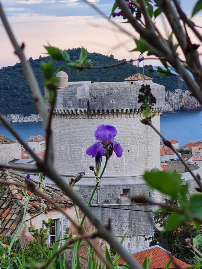 Apartment Bruana 5 Dubrovnik Exteriör bild